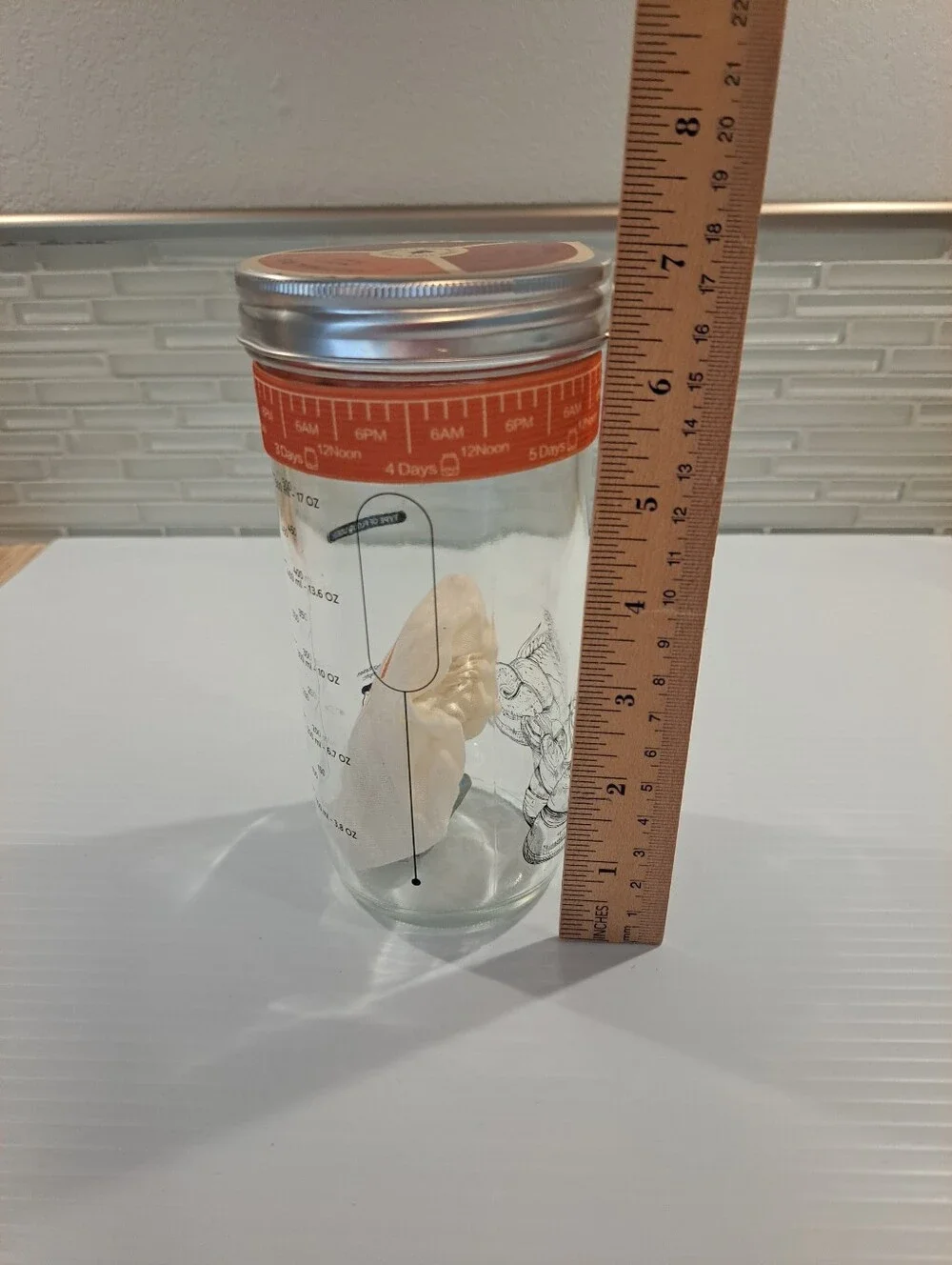 Sourdough Starter Kit. Jar, Tracking, Temperature, Lid & Cover. New